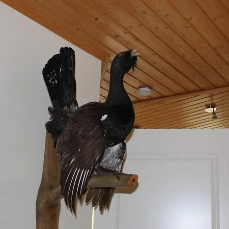 Kerssintie * Tahkovuori