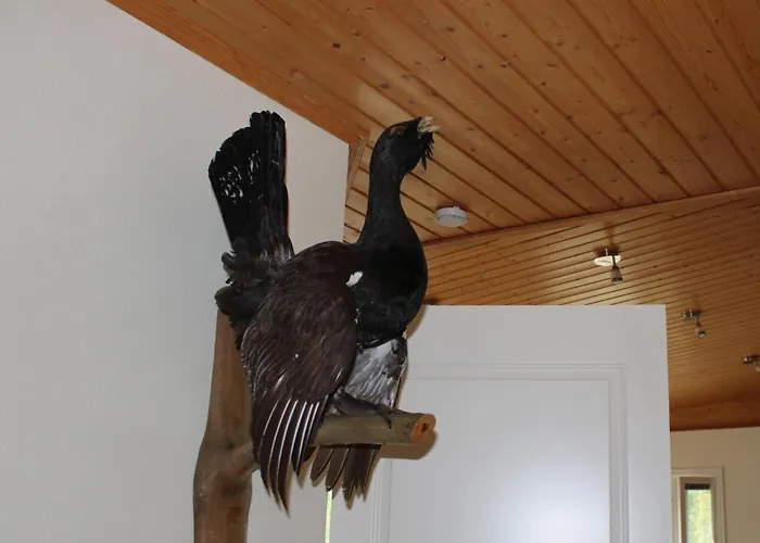 Kerssintie * Tahkovuori